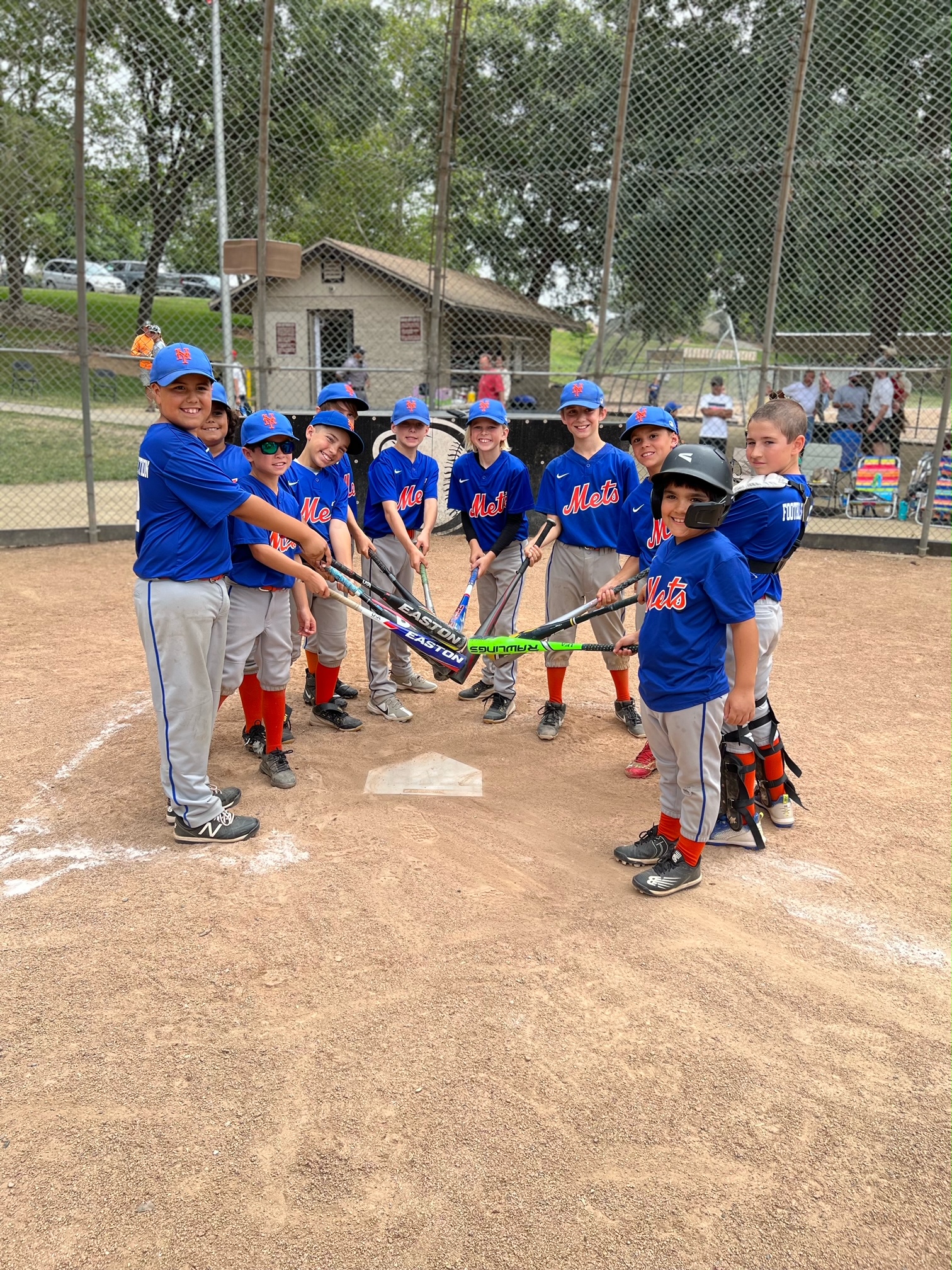 Golden Eagle Baseball > Home